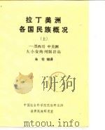 拉丁美洲各国民族概况  下（ PDF版）