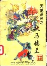 跃马楼兰  下（1998 PDF版）
