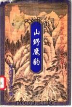 山野魔豹 下 1999 PDF电子版封面 7648401952 (台湾)云中岳著