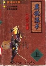 黑欲浪子  下（1998 PDF版）