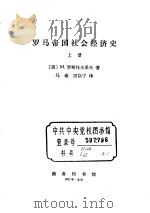 罗马帝国社会经济史  下（ PDF版）