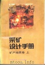采矿设计手册  1  矿产地质卷  下（1989 PDF版）