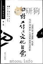 田野工作与文化自觉 下 1998 PDF电子版封面 780080190X 马戎等主编