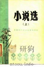 小说选  下（ PDF版）