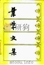 叶紫文集  （下卷）（1983年11月第1版 PDF版）