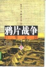 鸦片战争  中（1996 PDF版）