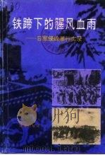 海南文史资料 第11辑 铁蹄下的腥风血雨:日军侵琼暴行实录 下 1995 PDF电子版封面 7806172424 海南省政协文史资料委员会编