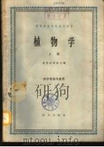 植物学  下  农学类各专业用（1960 PDF版）