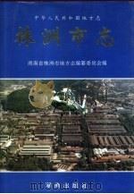 株洲市志  第4册  工业  下（1996 PDF版）