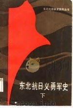 东北抗日义勇军史  下（1987 PDF版）