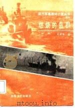 燃烧的岛群  下（1987 PDF版）