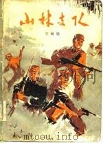 山林支队  下（1977 PDF版）