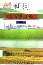中国新时期农村的变革  广西卷（1999 PDF版）