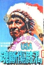 动断伤膝涧 下 美国西部印第安人史 1977 PDF电子版封面 狄布朗著;黄文范译
