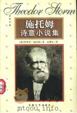 施托姆诗意小说集  下（1999 PDF版）