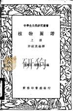植物图谱  下（1936 PDF版）