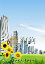 西部大开发决策、金融、建议 P1062（ PDF版）