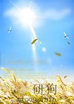 检察会计鉴定学（ PDF版）
