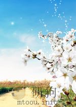 侗汉词典（ PDF版）