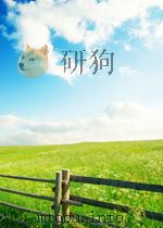 国际贸易与国际直接投资的关系及政策选择（ PDF版）