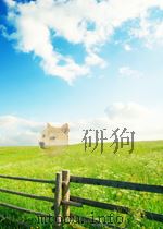 不确定信息车辆路径问题及其智能算法研究（ PDF版）