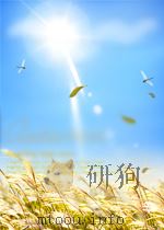 墙外听风——灵魂触电（ PDF版）