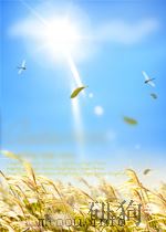 人类生活与发明系列  医药纵横（ PDF版）