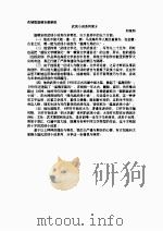 刀丛里的诗（1993 PDF版）