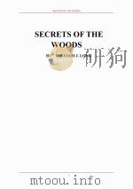 林中的秘密（ PDF版）