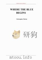 蓝调从何而起（ PDF版）