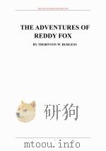 兰迪福克斯奇遇（ PDF版）