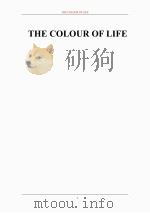 生命之色（ PDF版）