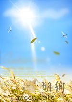 正在消失的民俗-远去的乡情 PDF电子版封面 齐东野,鲁贤文