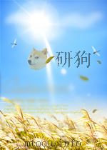 哥德巴赫猜想与优化筛法（ PDF版）