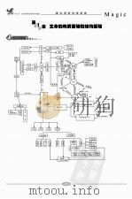 魔法生物  高考总复习（ PDF版）