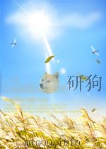 湖北省各地中考试题精粹  化学（ PDF版）
