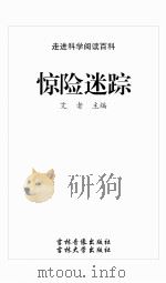惊险迷踪（ PDF版）