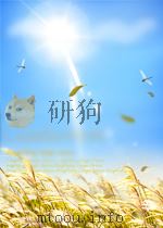 法理学（1998 PDF版）