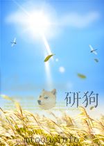广西口岸动植物检疫简史（1999 PDF版）
