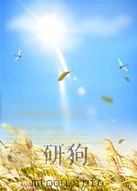 广西企业思想政治工作人员高中级专业职务任职资格名录 1992 PDF电子版封面 7219022751 兰怀廷主编;广西企业思想政治工作人员专业职务评定工作领导小组