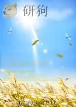 满天星  四年级  上  英语能力测试  N版（ PDF版）