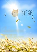 不可不读的20世纪中国短篇小说  当代卷  3（1998 PDF版）