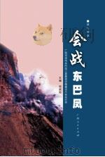 会战东巴凤 PDF电子版封面 陈报勋主编