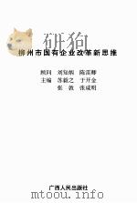 柳州市国有企业改革新思维（1999 PDF版）