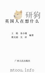 世界大视野丛书 英国人在想什么 PDF电子版封面 王娟,易小刚,傅义朝,吴祥编著