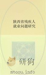 陕西省残疾人就业问题研究（ PDF版）