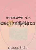 初级化学实验改进设计实践（ PDF版）