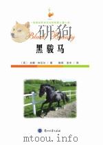 黑骏马（ PDF版）