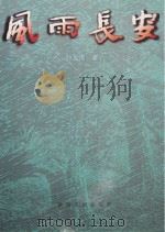 风雨长安（1999 PDF版）