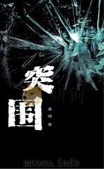 突围（ PDF版）